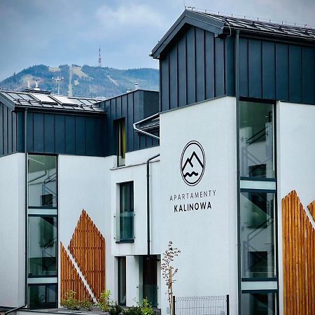 Apartamenty Riders Lodge Szczyrk Kalinowa エクステリア 写真